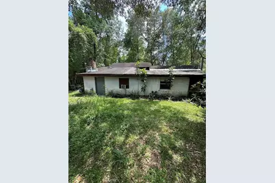 11151 NE 235th Street, Fort Mc Coy, FL 32134 - Photo 1