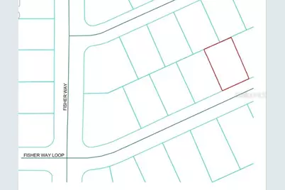 Fisher Way Loop, Ocklawaha, FL 32179 - Photo 1
