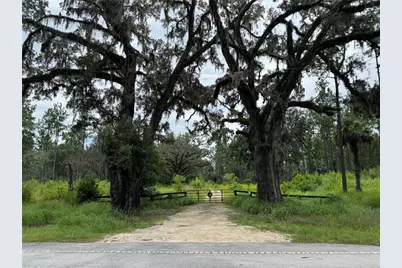 9600 NE 90th Street Road, Fort Mc Coy, FL 32134 - Photo 1