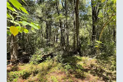 Lot 30 SW 31st Place, Ocala, FL 34481 - Photo 1