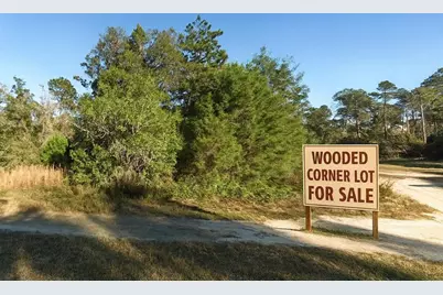 00 NE 235th Place, Fort Mc Coy, FL 32134 - Photo 1