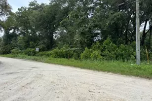 0000 SE 142nd Ln, Summerfield, FL 34491 - Photo 1