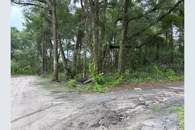 0000 SE 43rd Terrace, Summerfield, FL 34491 - Photo 1