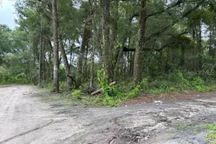 0000 SE 43rd Terrace, Summerfield, FL 34491 - Photo 1