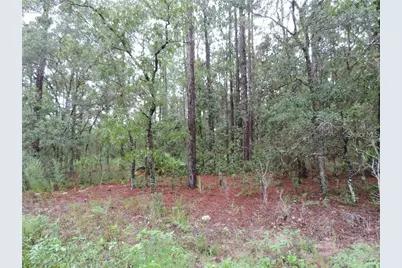 Tbd SW 135th Terrace Road, Dunnellon, FL 34432 - Photo 1