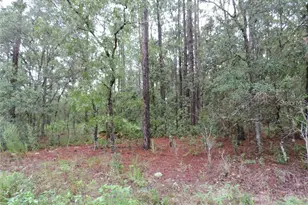 Tbd SW 135th Terrace Rd, Dunnellon, FL 34432 - Photo 1