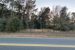 Lot 1 Dogwood Dr Circle, Ocala, FL 34472 - Photo 1