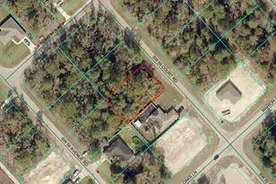 Tbd Lot 3 SW 55th Ct Rd, Ocala, FL 34473 - Photo 1