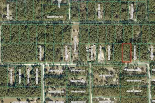 Tbd SW 40th St, Dunnellon, FL 34432 - Photo 1