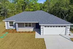 11 Bay Pl, Ocklawaha, FL 32179 - Photo 1