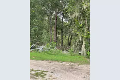Se 150th Place, Summerfield, FL 34491 - Photo 1
