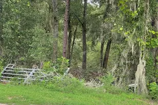 SE 150th Pl, Summerfield, FL 34491 - Photo 1