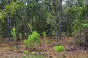 SW 178th Terrace, Dunnellon, FL 34432 - Photo 1