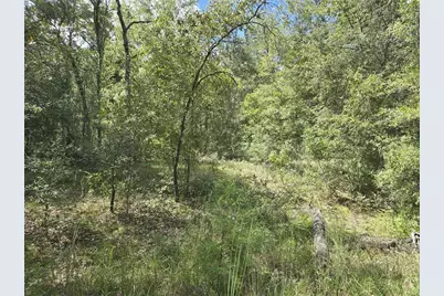 00 NE 150th Terrace, Williston, FL 32696 - Photo 1