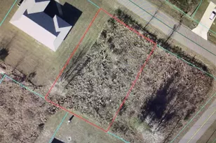 Juniper Run, Ocala, FL 34480 - Photo 1