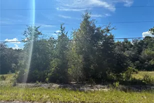 SW South Wind Ct, Dunnellon, FL 34430 - Photo 1