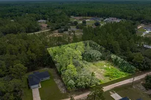 Tbd SW 138th Terrace, Ocala, FL 34481 - Photo 1