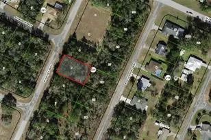 10241 N Halsey Way, Dunnellon, FL 34434 - Photo 1