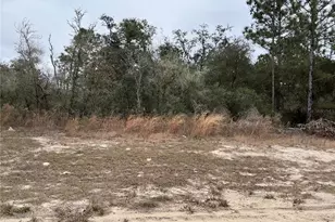 Lot 27 SW 77th Ave, Ocala, FL 34473 - Photo 1