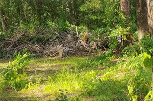 Jasmine Rd, Altoona, FL 32702 - Photo 1