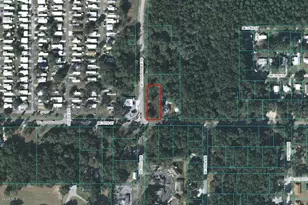 5545 NE 35th St, Silver Springs, FL 34488 - Photo 1