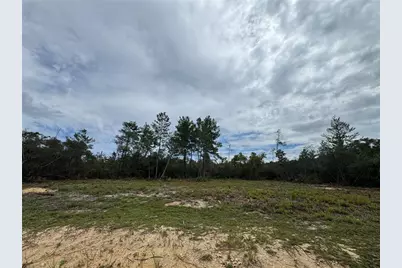 Ne 135th St, Salt Springs, FL 32134 - Photo 1