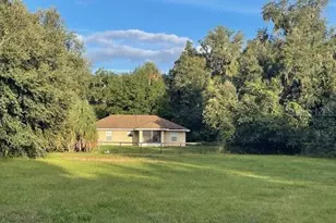 7059 E Hwy 318, Citra, FL 32113 - Photo 1