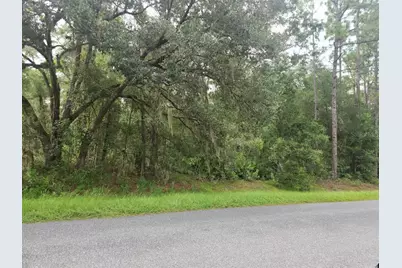 Lot 3 SW 61 St Place Road, Ocala, FL 34481 - Photo 1