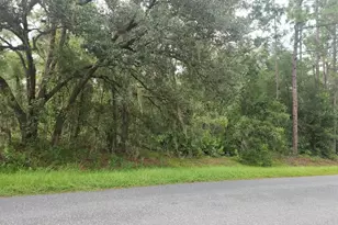 Lot 3 SW 61 St Pl Rd, Ocala, FL 34481 - Photo 1