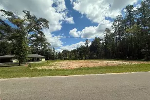 1011 NE 4th St, Williston, FL 32696 - Photo 1