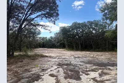 Tbd NE 72nd Place, Bronson, FL 32621 - Photo 1