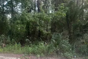 Tbd NE 52nd Pl, Williston, FL 32696 - Photo 1