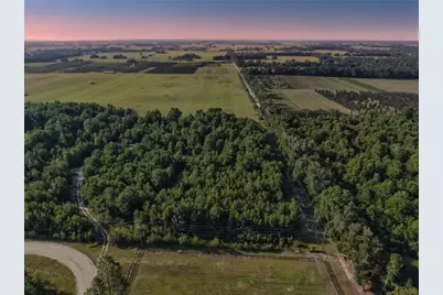 00 175th Avenue, Morriston, FL 32668 - Photo 1