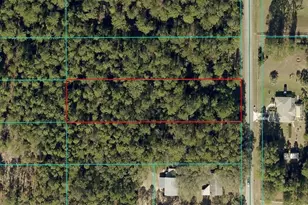 Tbd Lot 14 SW 202nd Ct, Dunnellon, FL 34431 - Photo 1