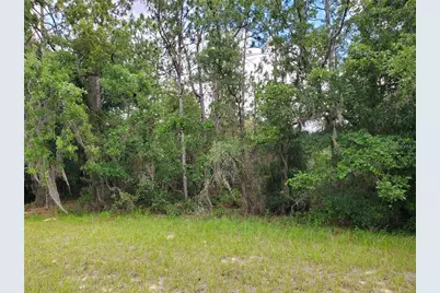 8650 SW 138 Lane, Ocala, FL 34473 - Photo 1