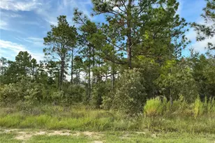 0 Calypso Ave, Brooksville, FL 34614 - Photo 1