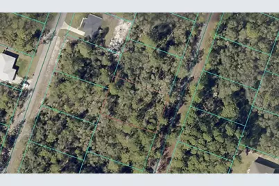 00 Fisher Trace Drive, Ocklawaha, FL 32179 - Photo 1