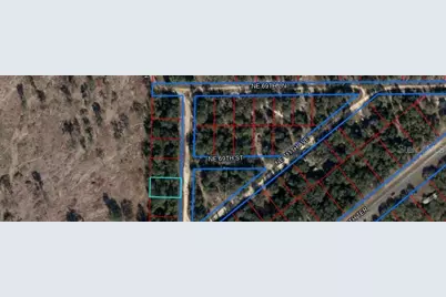 Ne 110 Court, Bronson, FL 32621 - Photo 1