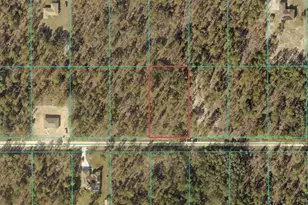 Tbd SW 89th St Lot 3 E 1/2, Dunnellon, FL 34432 - Photo 1