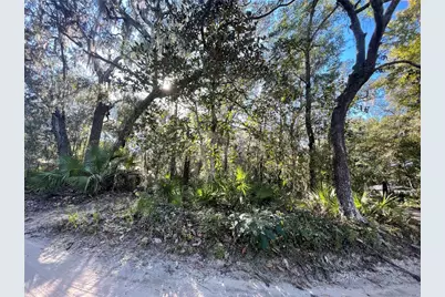Tbd NE 199th Place, Fort Mc Coy, FL 32134 - Photo 1