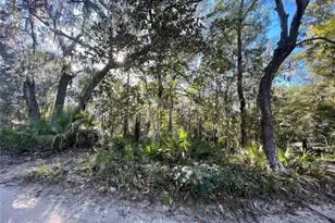 Tbd NE 199th Pl, Fort Mc Coy, FL 32134 - Photo 1
