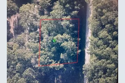 3261 E Anderson Street, Inverness, FL 34453 - Photo 1