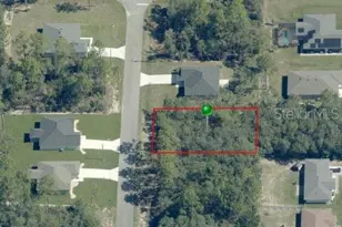 6439 N New Japan Terrace, Dunnellon, FL 34434 - Photo 1