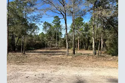 Lot 103 SW 60th Lane Road, Ocala, FL 34481 - Photo 1