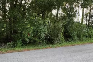 Tbd SE 158th Pl, Summerfield, FL 34491 - Photo 1