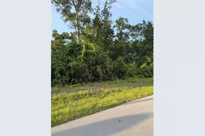 Tbd SE 83rd Court, Summerfield, FL 34491 - Photo 1