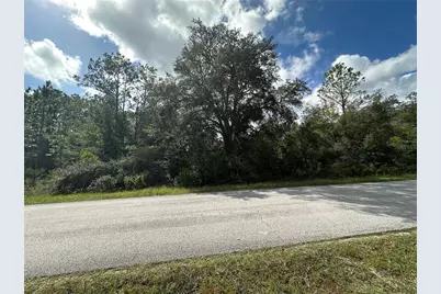 000 SW Audubon Avenue, Dunnellon, FL 34431 - Photo 1