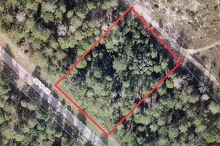 0 SW 43 Circle, Ocala, FL 34473 - Photo 1