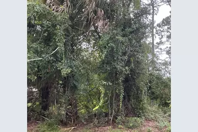 39 Whittington Drive, Palm Coast, FL 32164 - Photo 1