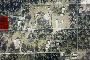 Tbd NE 206th Pl, Fort Mc Coy, FL 32134 - Photo 1